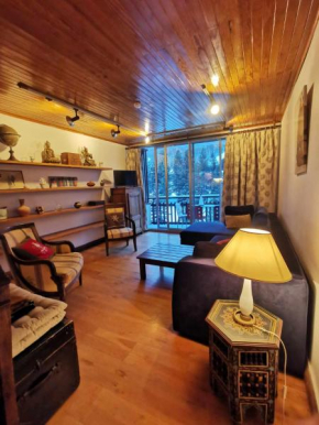 Grand appartement 4 pers, face aux pistes